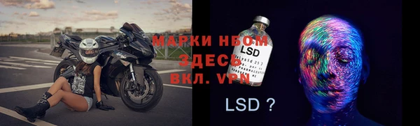 сатива Чекалин