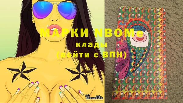 сатива Чекалин