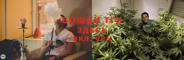 ПСИЛОЦИБИНОВЫЕ ГРИБЫ Вязьма