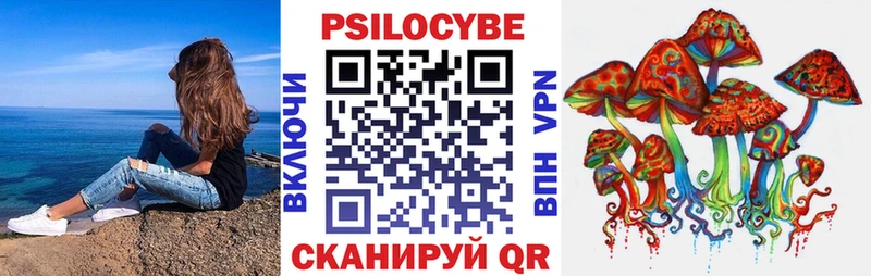 Галлюциногенные грибы Psilocybine cubensis  Купить где  Полесск 